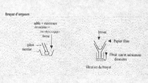 broyat.gif (41999 octets)