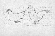 poulets.gif (19704 octets)