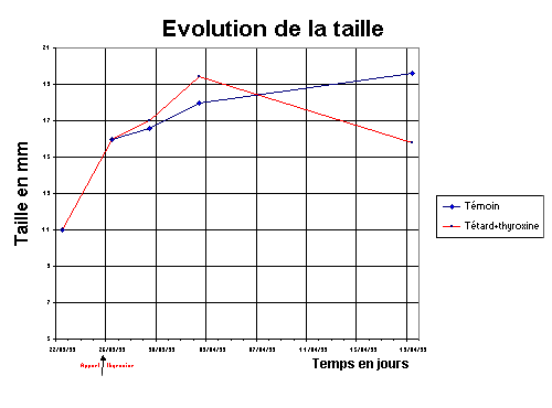 ttards.gif (6598 octets)