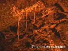 image009.jpg   (11 Ko)