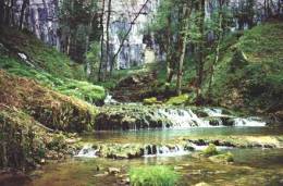 image018.jpg   (13 Ko)