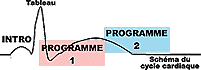 circulation