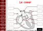 Coeur