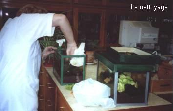 image005.jpg (13 Ko)