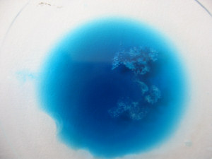 colorant