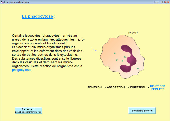 Partie 1