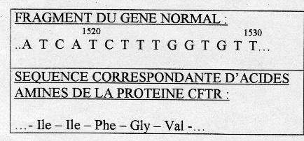 muco10a.jpg (23722 octets)