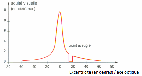 acuité