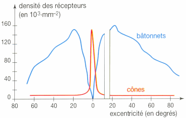 densité