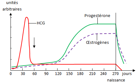 Hormones