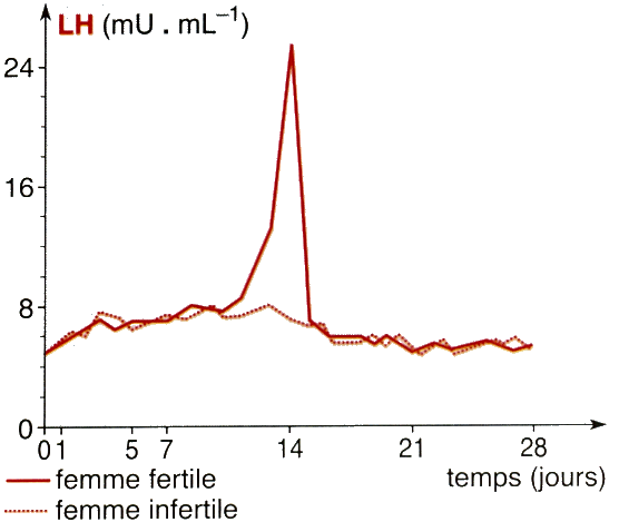 LH