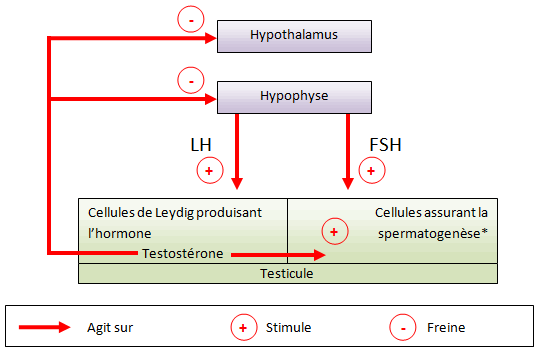 régulation