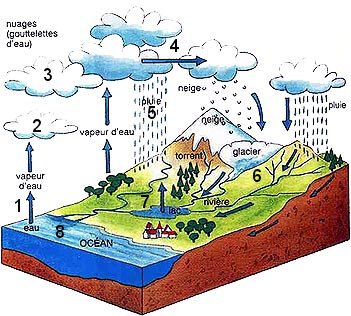 Cycle de l'eau