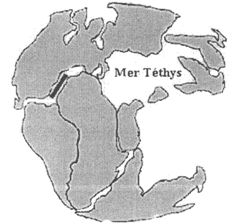 Téthys