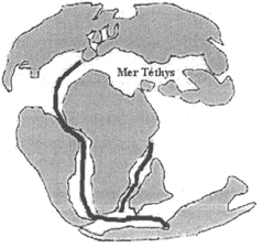 Téthys