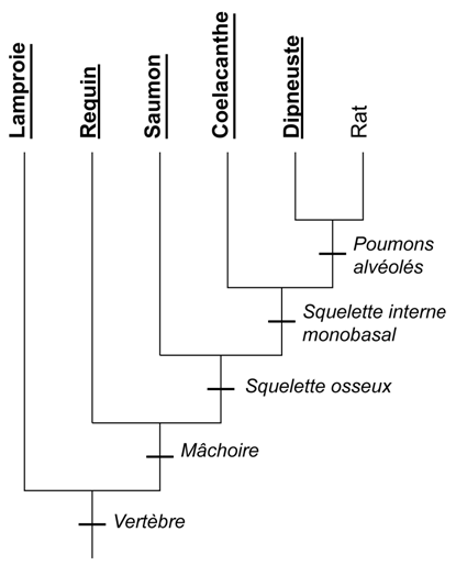 Arbre