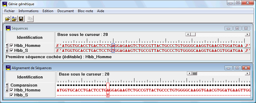 Phénotype drépanocytaire