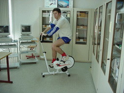 chriscycle.gif (204538 octets)