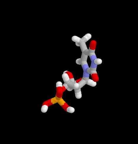 Nucthym.gif (9748 octets)