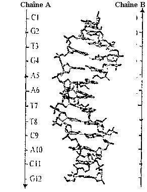 wpe8.gif (5328 octets)