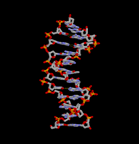 tpadn3.gif (14921 octets)