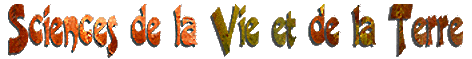 titre svt